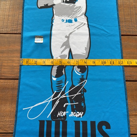 Julius Peppers - Carolina Panthers - Banner - Picture 3 of 4